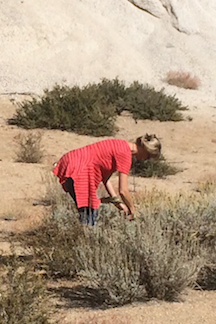 Jeanine in East Sierra