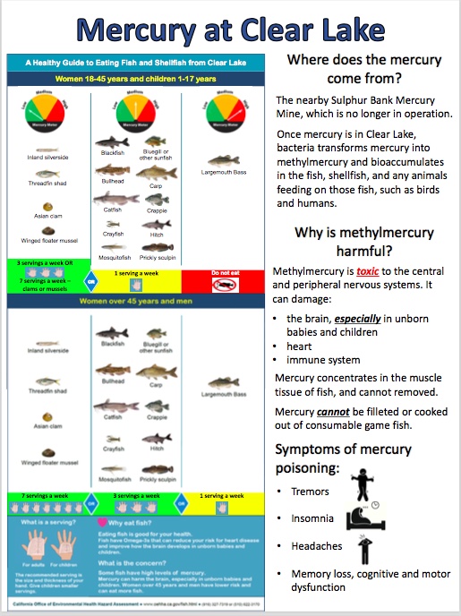 Cyanotoxin poster Page 1