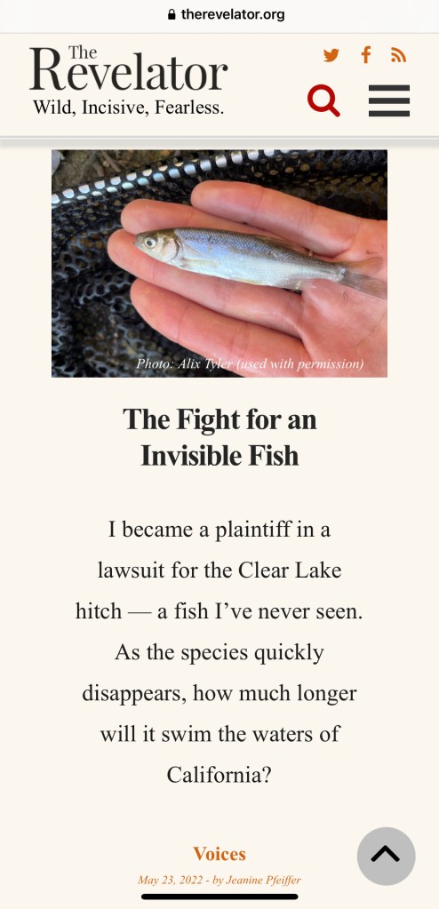 The header for my article in The Revelator about the Clear Lake hitch.