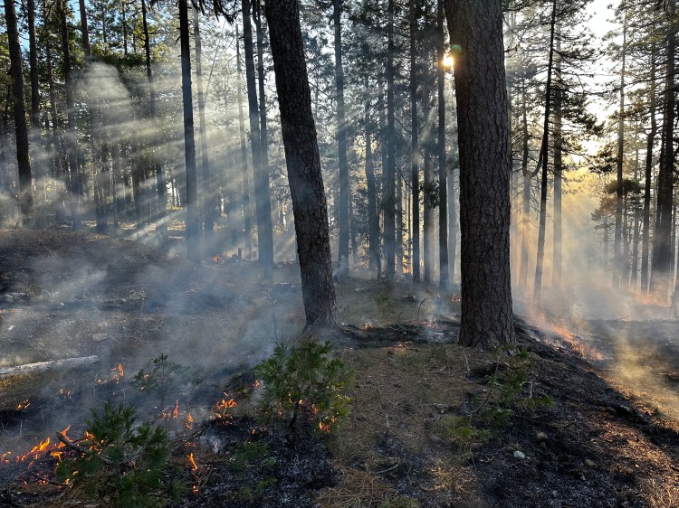 Cultural burning =&nbsp;#GoodFire.